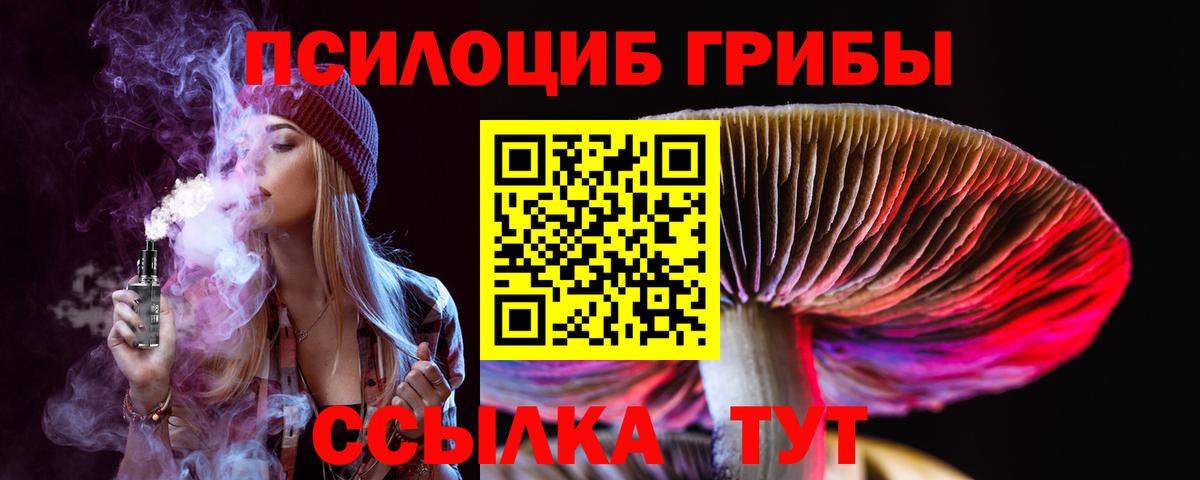Псилоцибиновые грибы MAGIC MUSHROOMS  Псилоцибиновые грибы ЛСД  Каменск-Шахтинский  Вход с VPN 